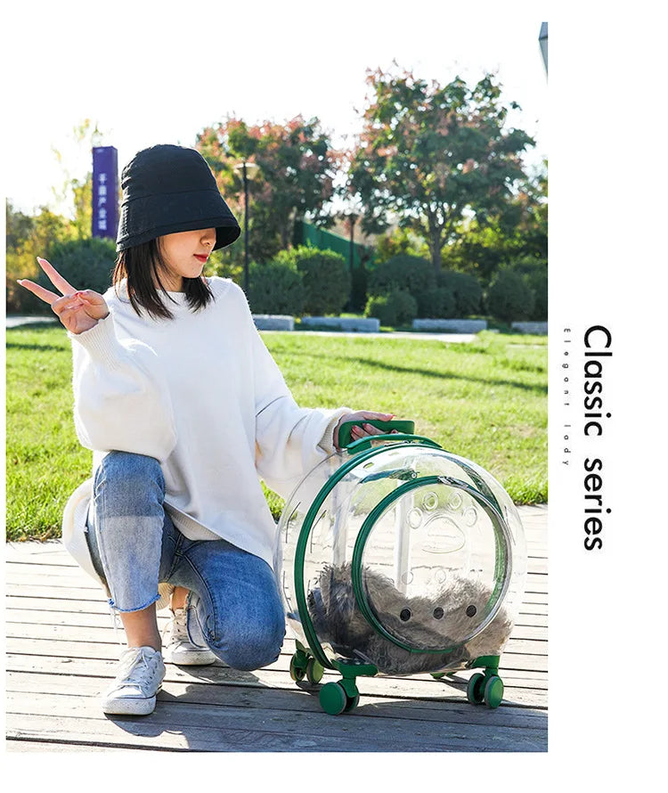 High Quality Pet Suitcase with Shoulder Straps, Portable for Dogs To Go Out Transparent Bag, Space Cabin, Cat Bag Large Capacity