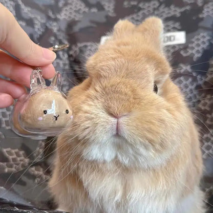 **Cartoon Pet Hair Memorial Transparent Storage Box Keyring Cute Animal Rabbit Fur Organizer Keychain Bag Pendant Pet Souvenirs