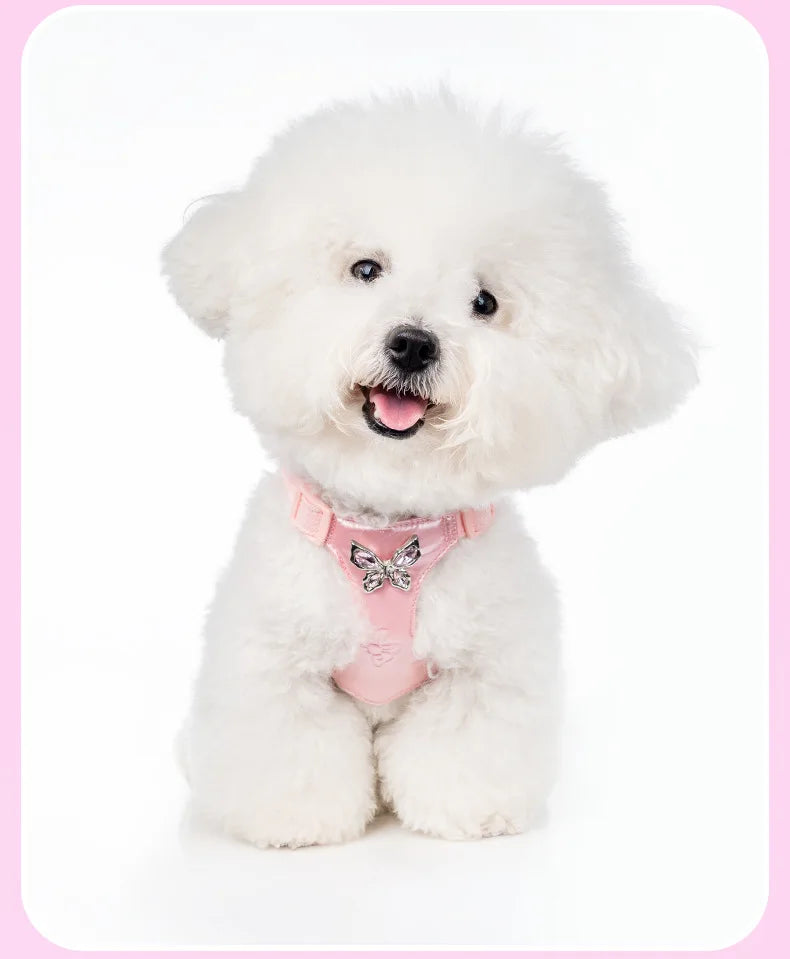 Butterfly Decor & Matching Leash Dog Harness for Small Dogs - Escape Proof Lightweight Vest