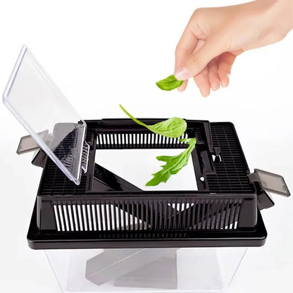 Insect Breeding Box Clear Cricket Keeper Escape Proof Reptile Feeder Habitat Ventilated Bug Terrarium Container Easy Clean