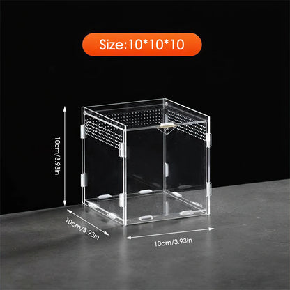 Clear Acrylic Reptile Feeding Box Stackable and Buckle Splicing Box for Scorpion Spider Frog