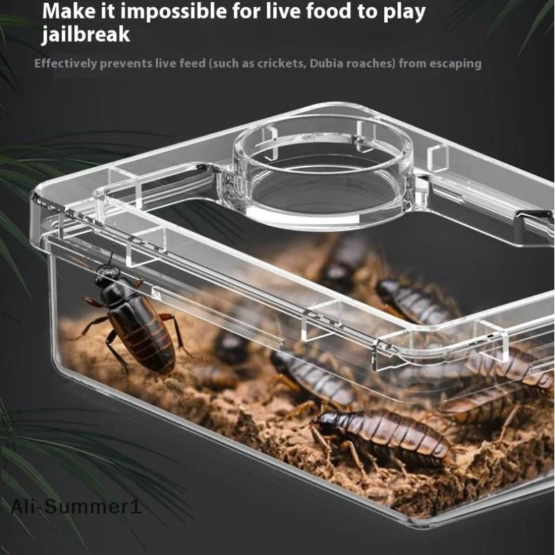 【E】Pet Reptile Lizard Turtle Transparent Feeder Anti-escape Food Bowl Worm Live Container Reptile Pet Bowls Feeder Pet Supplies