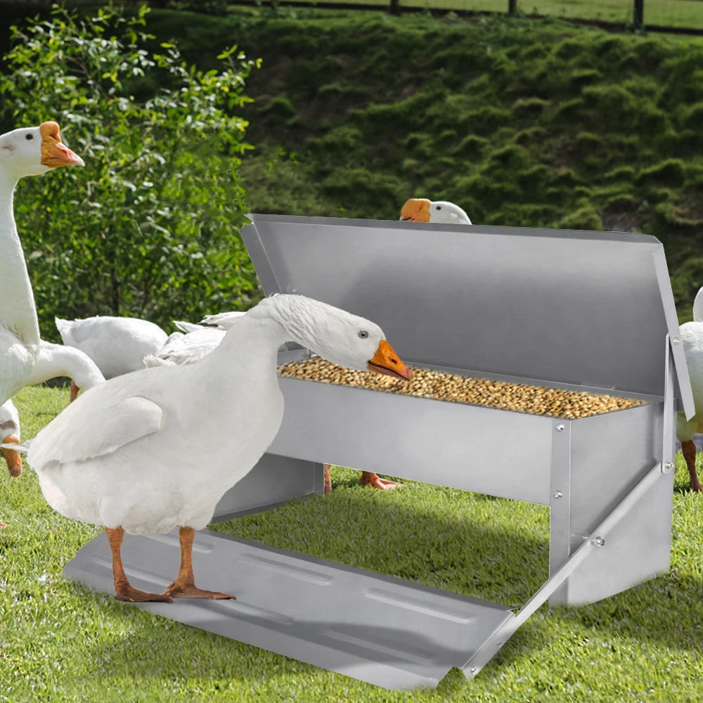 Automatic Feeder, Feeding Trough with Automatic Pedal & Mouse Protection Lid, 5KG/10KG Chicken Feeder for Farm Animals