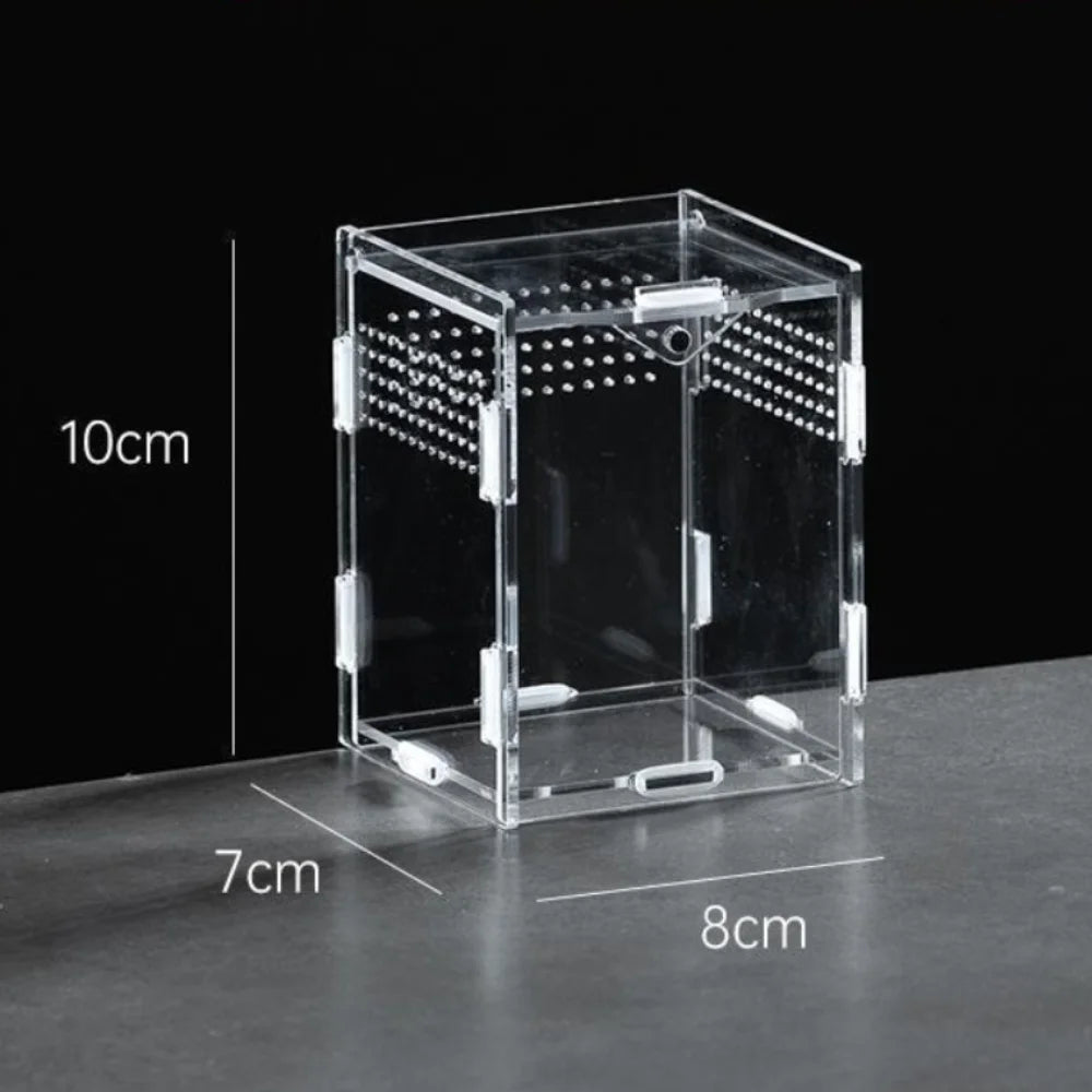 Durable Acrylic Reptile Habitat Anti-Escape Multiple Size Spider Feeding Case Clear Arboreal Lizard Breeding Box for Chameleon