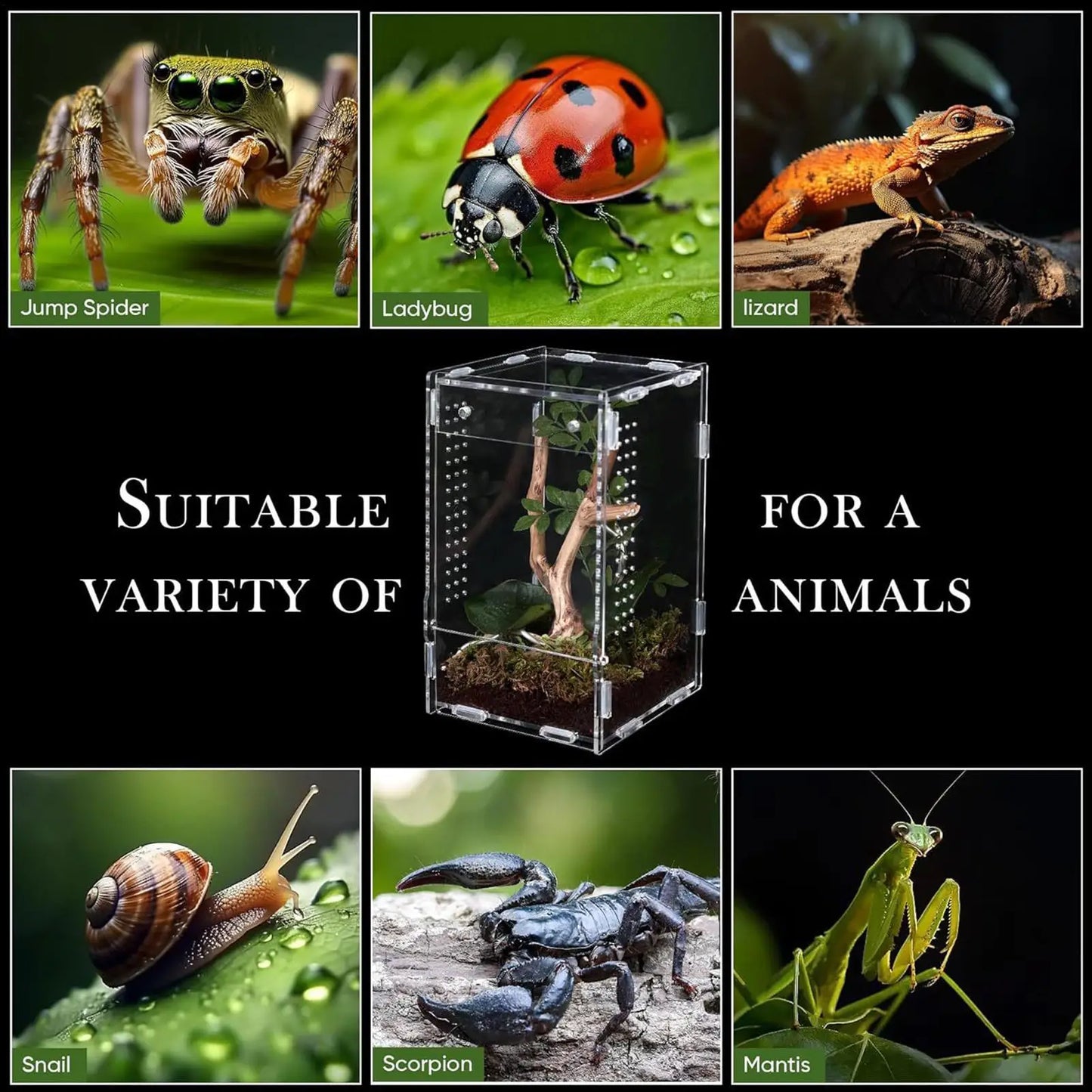 Reptile Enclosure Front Opening Escape Proof Habitat Acrylic Jumping Spider Habitat for Observation Home Pet Store Bedroom