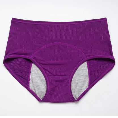 2pcs Women's Physiological Briefs Girl Menstrual Panties Ladies Period Leak Proof Panty Mid Waist Ice Silk Underwear