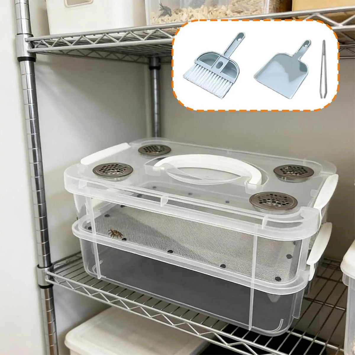 High Capacity Mealworm Farm Transparent Mealworm Breeding Kit To Breed Live Mealworms For Bearded Dragon And Reptiles Portable