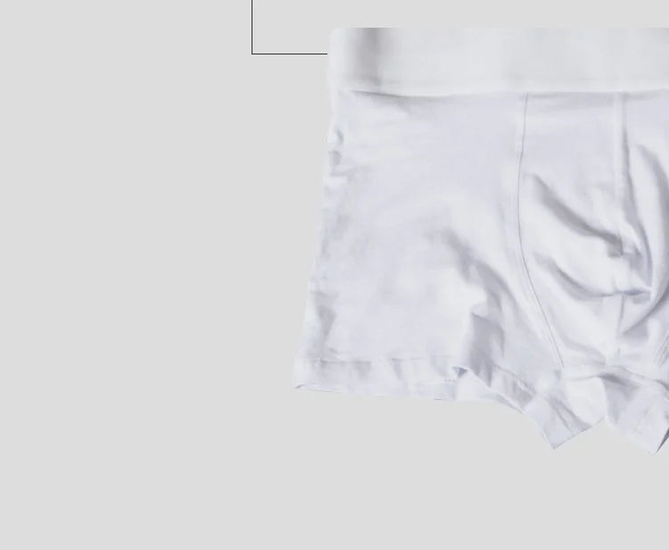 Men Underwear Boxer Cotton Floor Price Mens Underpants Comfortable Underwear Male Panties Breathable U Pouch Men Shorts