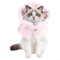 F19B Gentle Recovery Cones Cats Soft Prevents Biting And Licking Wounds