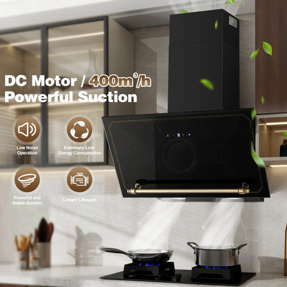 60cm Wall Hood - 400m³/h Suction, A+++ Energy, LED Lights, Dual Filter System, Retro Design‌