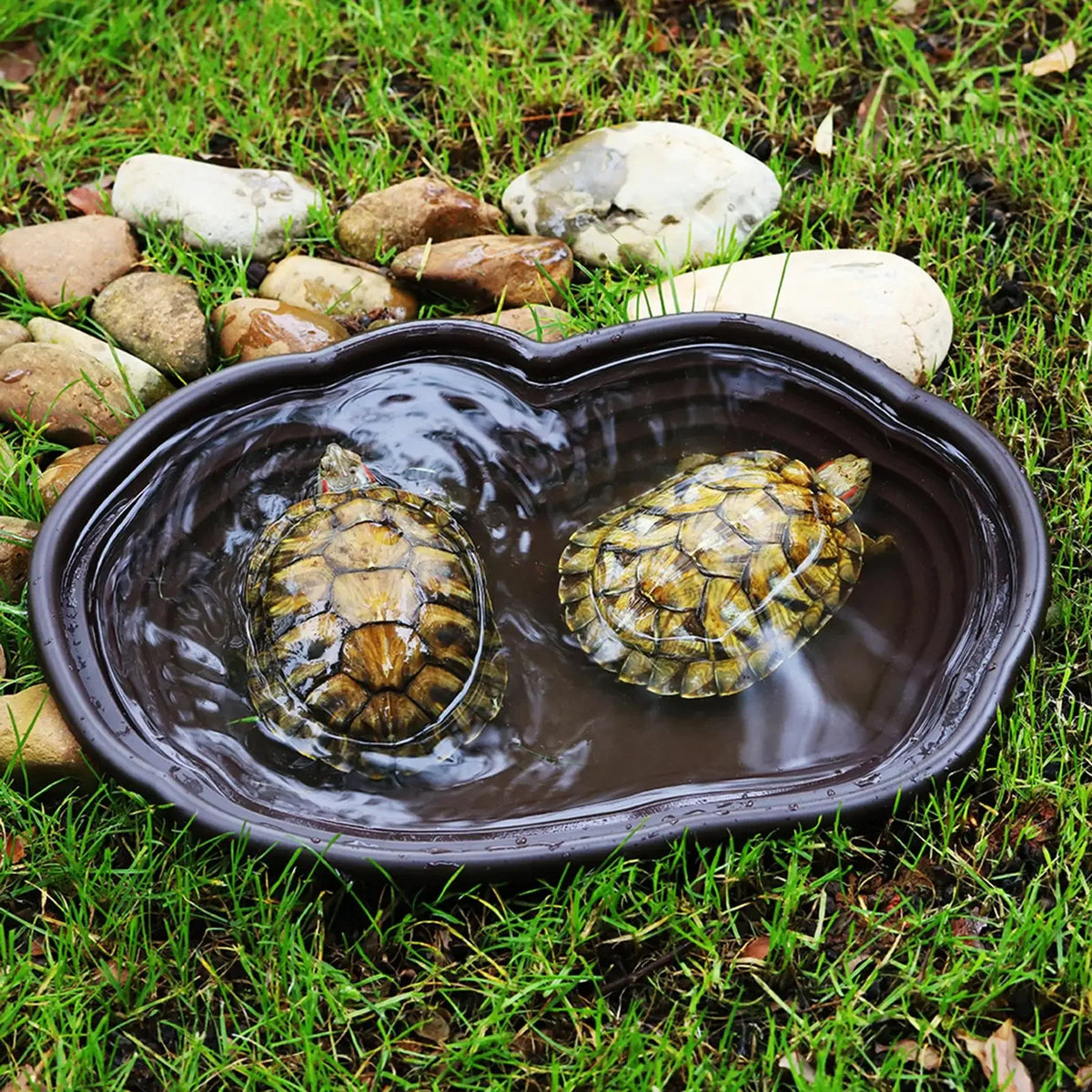 Reptile Bathing Pool Amphibians Accessories Large With Ramp Reptile Water Bowl For Tortoise Turtle Hamster Scorpion Leopard Pet