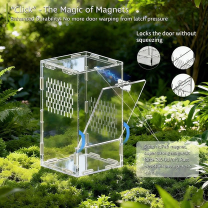 Acrylic Jumping Spider Enclosure Buckle Lock Escape Proof Reptile Feeding Tank Transparent Ventilated Spider House