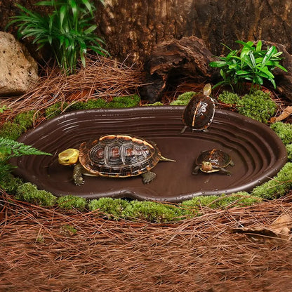 Reptile Bathing Dish Amphibians Habitat Reptile Tortoise Feeder  Water Food Bowl Feeding Dish for Bearded Dragons Turtle