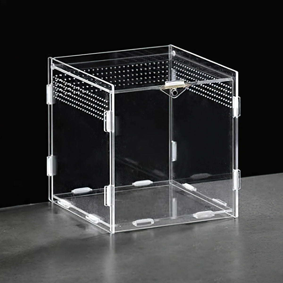 Hermit Crab Reptile Breeding Box Portable Magnetic Absorption Acrylic Transparent Mini Pet Houses For Scorpions Frogs Turtles