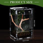 1pc Acrylic Transparent Reptile Breeding Box Amphibian Cage Nano Arboreal Tarantula Enclosure Jumping Spider Reptiles Habitat