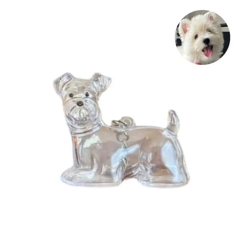 Diy Bag Charm Handmade Pet Hair Memorial Keychain Keepsake Pendant for Dog Fur - Personalized Pet Loss Gift for Dog Lovers