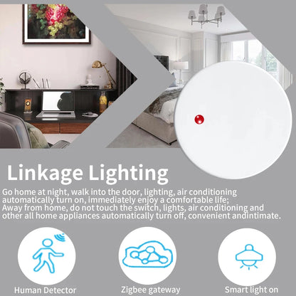 ZigBee Wifi 24G MmWave Human Presence Motion Sensor Radar Wave Human Detector Motion Detector Tuya Hub SmartLife Home Automation