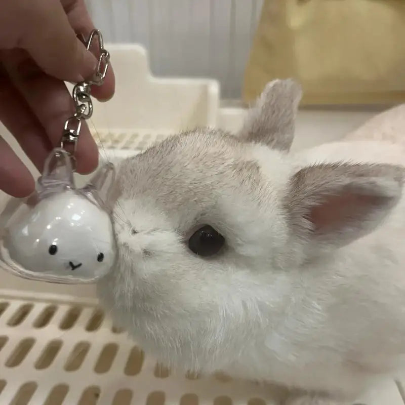 Cute Animal Rabbit Fur Organizer Keychain Bag Pendant Pet Souvenirs Cartoon Pet Hair Memorial Transparent Storage Box Keyring