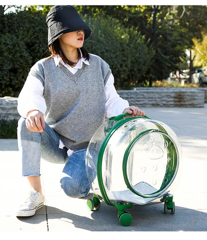 pet trolley case portable dog going out transparent trolley bag large capacity two cats