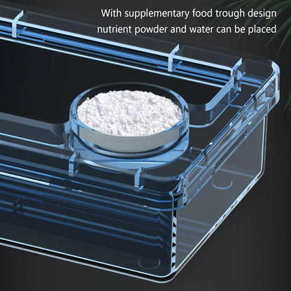 Reptile Lizards Geckos Feeding Bowls Prevent Tenebrio Molitor and Blaptica Dubia Anti Overturning Trough Feeder Transparent