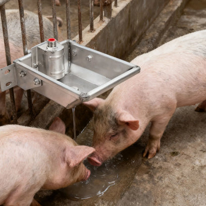 Cattle And Sheep Water Dispenser Thickened Stainless Steel Automatic Dog Feeder Trough Bowl