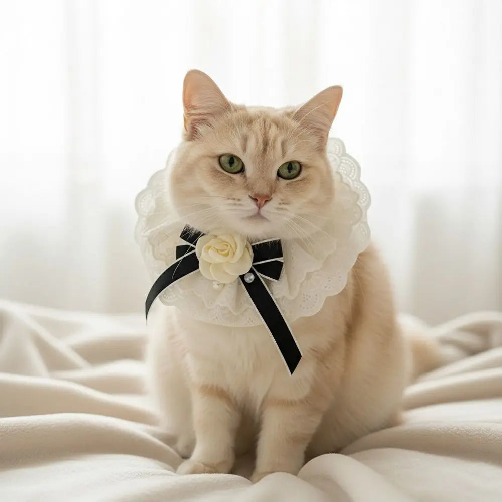 Elegant Design Pearl Pet Collar Princess Style Lace Collar Bowtie Silk Material Headgear Pet Bow Accessories Special Occasions