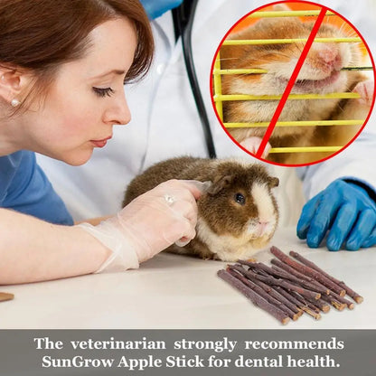 100% Natural Apple Branch Rabbit Chew Sticks Small Pet Chinchillas Netherlands Pig Hamster Bite Molars Clean Teeth Wooden Toys
