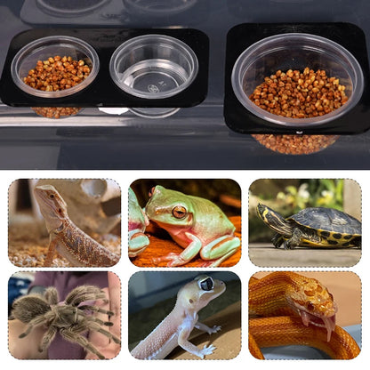 Reptiles & Amphibians Lizard Gecko Suction Cup Feed Bowls Food Container with Bowl for Reptile Food and Water Feeding