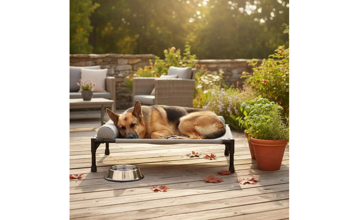 Elevated Pet Bed All-Season Use Raised Dog and Cat Bed Pet Cot Sturdy Frame With Pillow Support for Felines, Travel