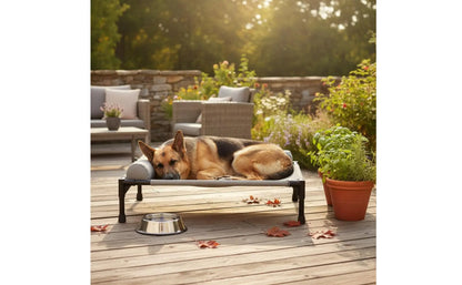 Elevated Pet Bed All-Season Use Raised Dog and Cat Bed Pet Cot Sturdy Frame With Pillow Support for Felines, Travel