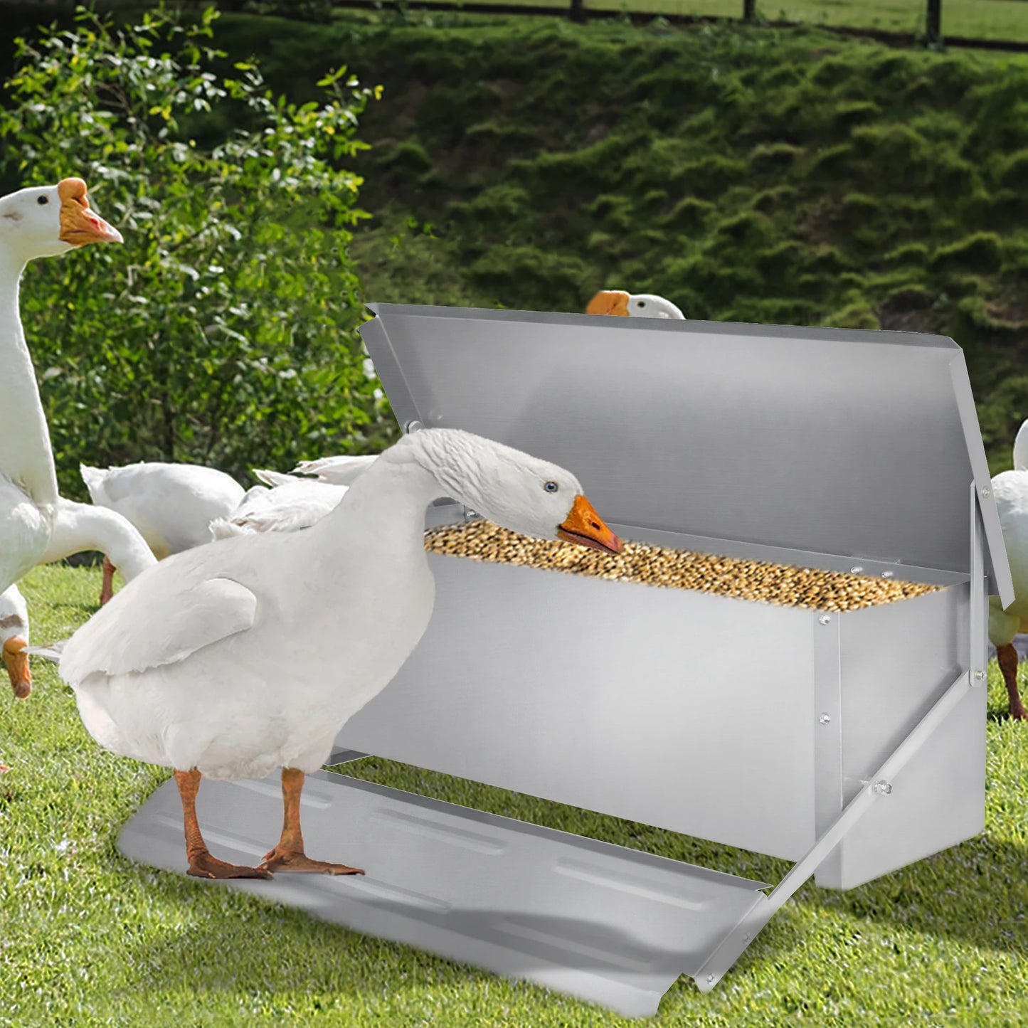 10kg Pedal‑Operated Automatic Chicken Feeder Galvanized Steel Rain‑Resistant Poultry Feeder Prevent Rodents Wild Birds Stealing Feed For Backyard Farm