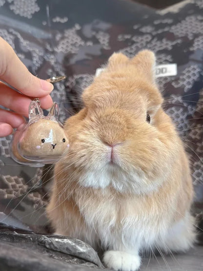 Cute Animal Rabbit Fur Organizer Keychain Bag Pendant Pet Souvenirs Cartoon Pet Hair Memorial Transparent Storage Box Keyring