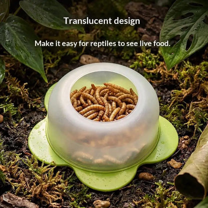 New 1Pcs ABS Reptile Feeding Dish Anti Escape Worm Food Bowl For Lizards Geckos Snakes Turtles Tortoises