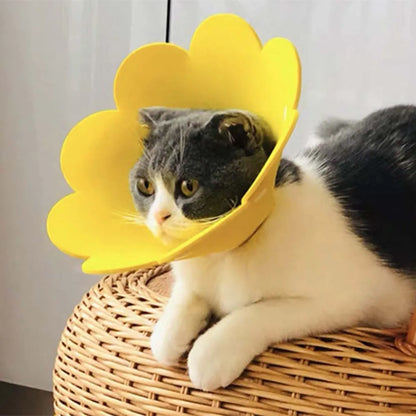 Pets Protective Collar EVA Soft Flower Shape Anti-lick Cats Dogs Wound Healing Protection Cover Anti-bite Animal Supplies