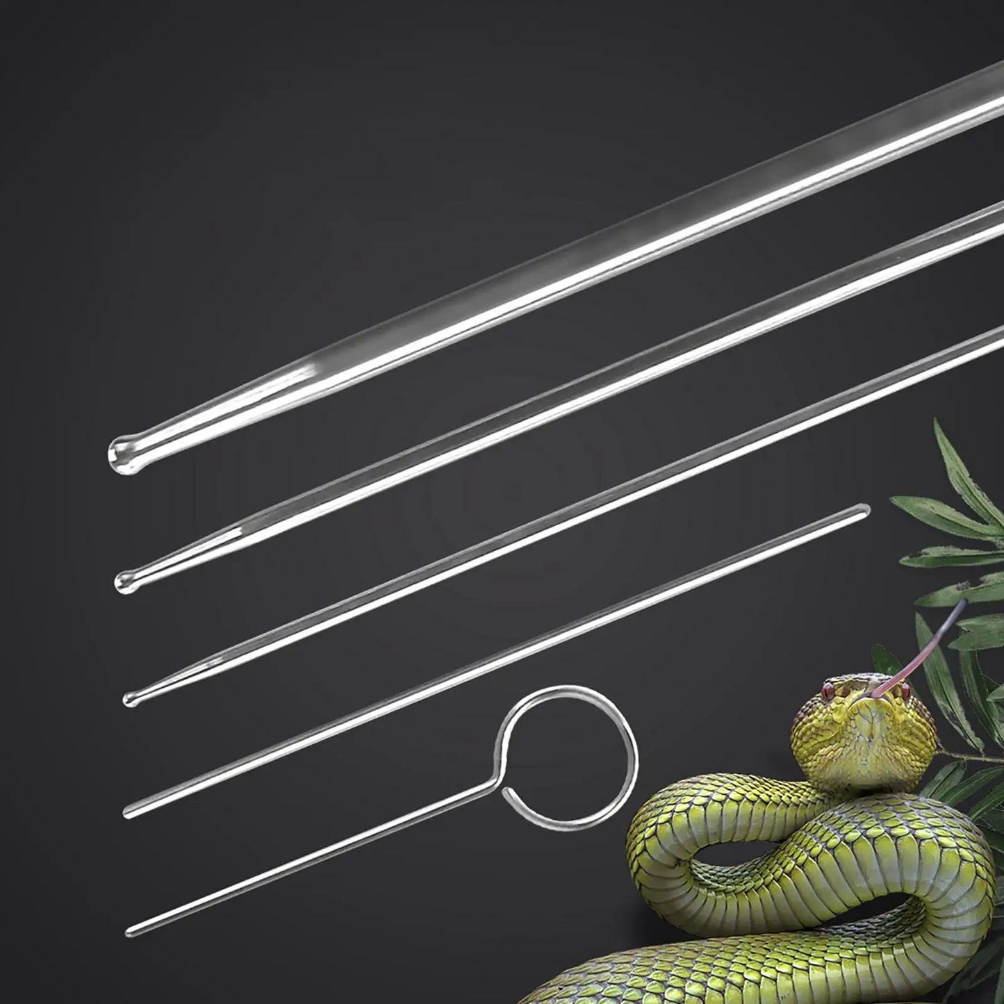 Reptiles Snake Gender Probes Set 6Pcs Reusable Different Size with Case Round