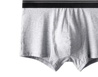 4pcs Men's Panties Sexy Shorts Cotton Underwear Male Breathable Boxers Solid Boxershorts Brand Underpants
