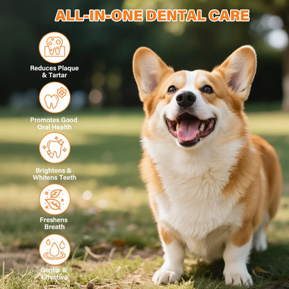 GJYC PET Probiotic Pet Dental Care Kit Toothpaste With Toothbrush Finger Brush Reduce Plaque Tartar Freshen Breath For Dogs Cats