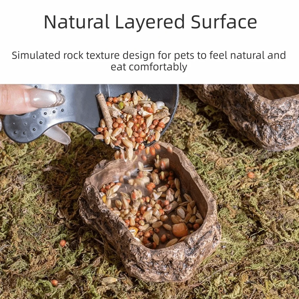 Anti-slip Climbing Pet Food Bowl Easy Clean Realistic Stone Reptile Drinking Water Feeding Tray Safe Durable Reptile Food Bowl