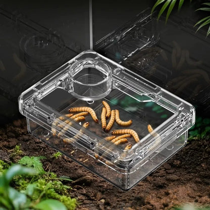 Reptile Lizards Geckos Feeding Bowls Anti Overturning Transparent Water Bowls Anti Escape