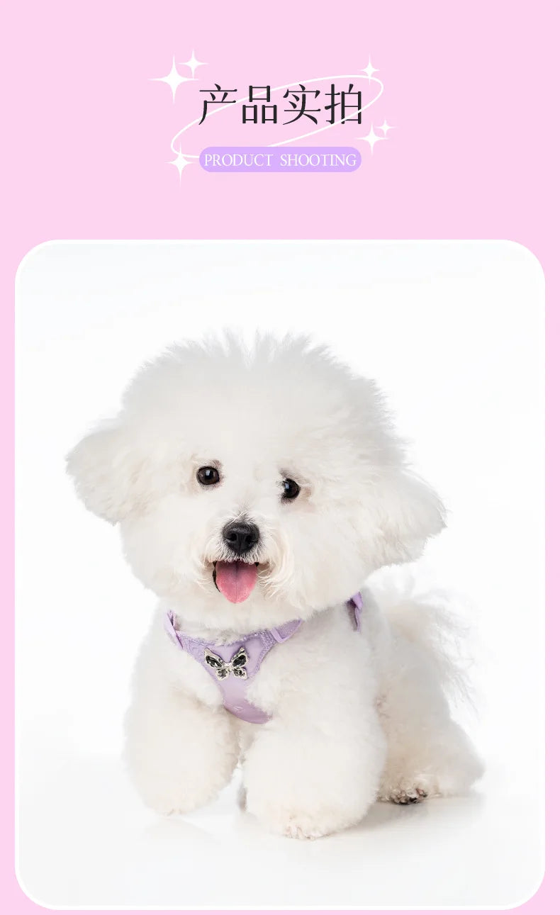 Butterfly Decor & Matching Leash Dog Harness for Small Dogs - Escape Proof Lightweight Vest