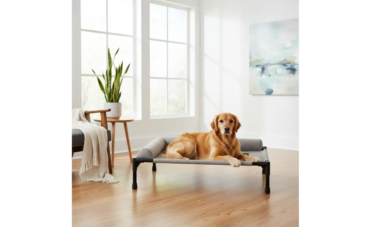 Elevated Pet Bed All-Season Use Raised Dog and Cat Bed Pet Cot Sturdy Frame With Pillow Support for Felines, Travel