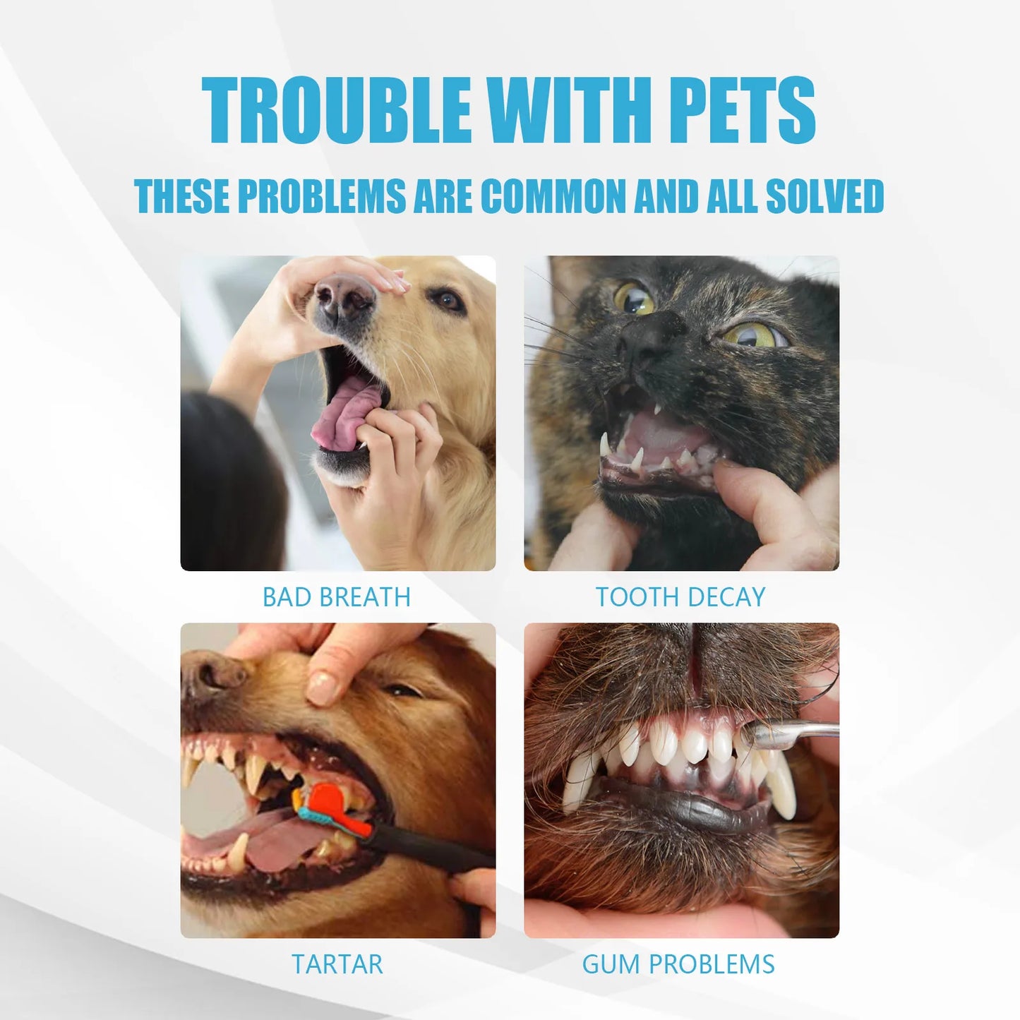 YEGBONG Pet Toothpaste Edible Formula Tartar Control Freshens Breath Gentle Oral Cleaning for Dogs Cats All Breeds Daily Use