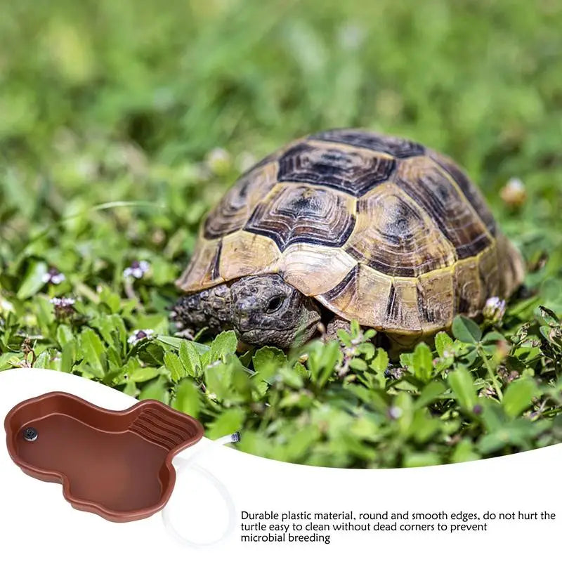 Turtle Feeding Dish Reptile Bathing Pool With Ramp And Basking terrace Aquarium Ornament For Turtle Bearded Dragon Gecko Yard