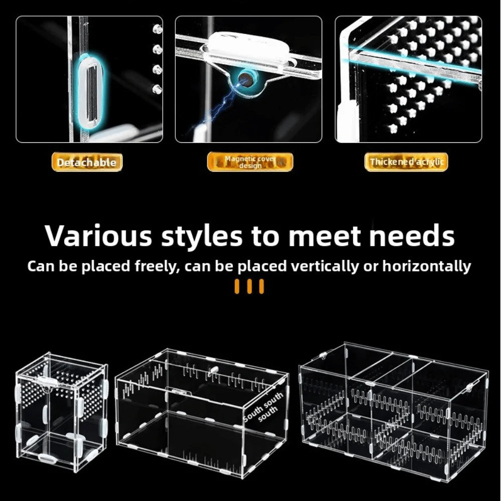 Acrylic Jumping Spider Enclosure 2 Doors Transparent Small Pet Terrarium Escape-proof Ventilated Design Reptile Habitat