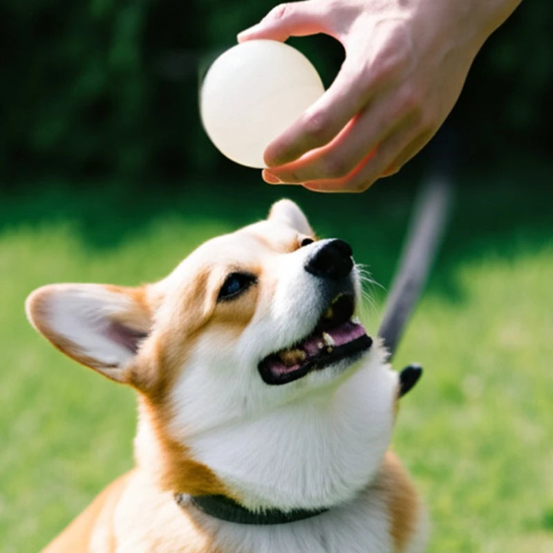 2PCS Dog Chew Toys Ball - Glow in The Dark, Durable for Teething, Pet Molar Toy To Relieve Boredom, Puppy Chew Supplies