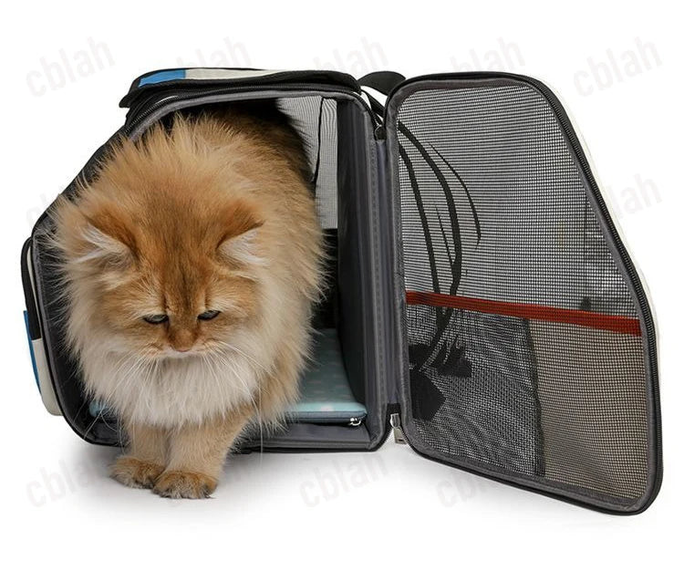 2-in-1 Rolling Pet Carrier Backpack with Wheels, Large Foldable Travel Bag for Dogs and Cats, Ventilated Backpack Carrier
