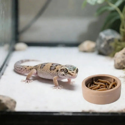 Portable Escape-Proof Reptile Food Dish Compact Multi-purpose Worm Water Dish Non-Tip Reptile Bowls Bearded Dragon