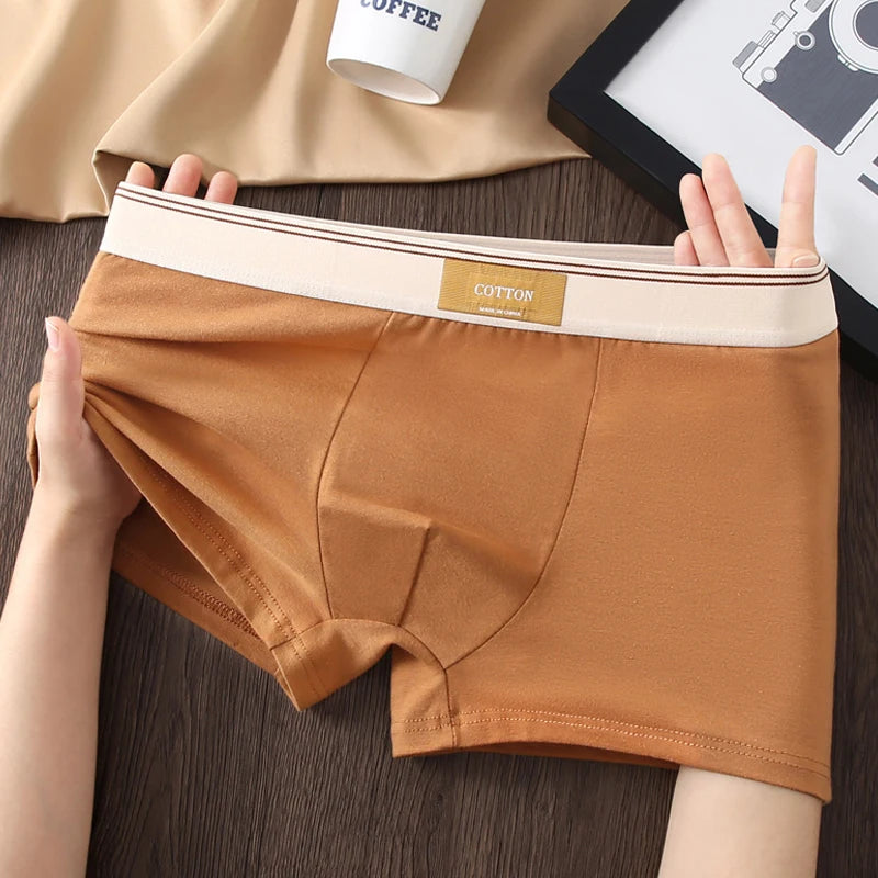 5Pcs/Lot Men Underwear Pure Cotton Boxer Shorts Hombre Panties Man Breathable Underpants Sexy Sports Comfort Male Boxers L-4XL
