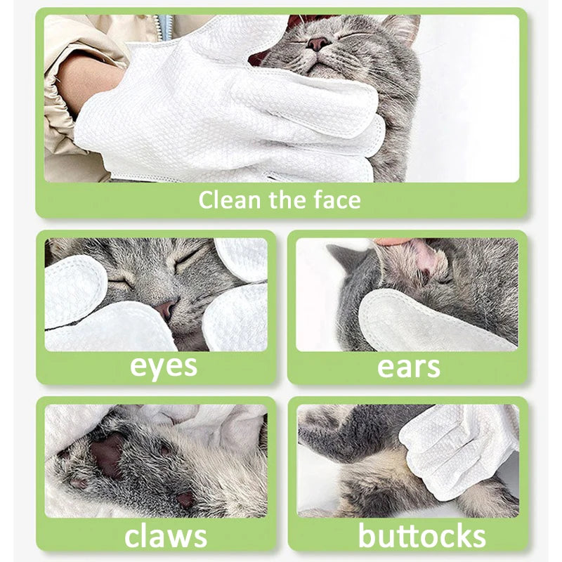 Pet Wash Free Cleaning Gloves Cat and Dog Bathing Deodorization Dry Cleaning Wet Wipes for Puppies and Kittens 6 Pieces