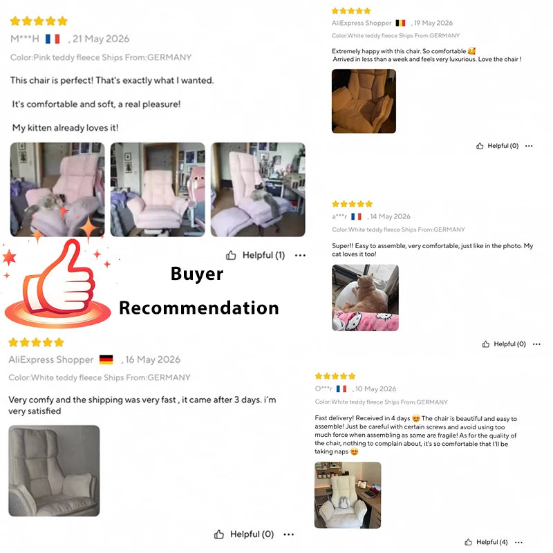 Pet Friendly Ergonomic Office Chair with Armrests, Cat Side Seat 360° Swivel Reclining Desk Chair for Cat Owners Furry Companion Work Chair with Footrest